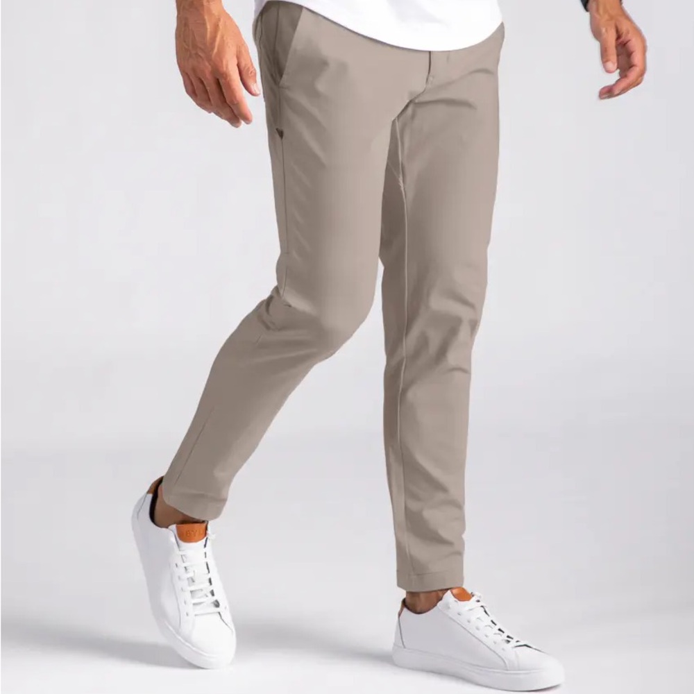 Everyday Pant 2.0 Bylt Premium Basics $190 NEW NWT Taupe 31